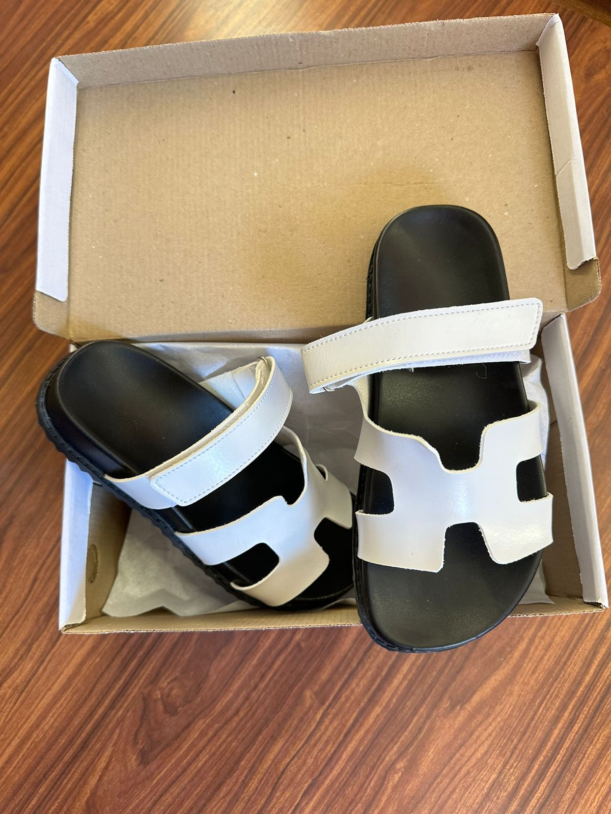 Birken H Branca